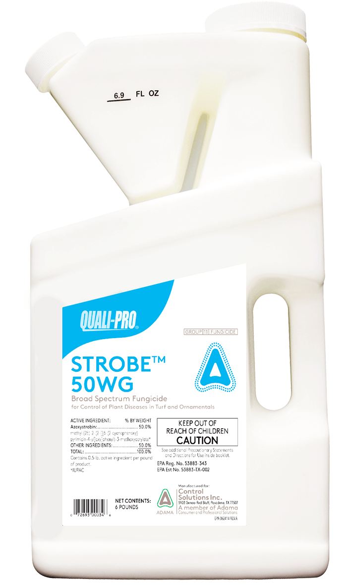 Strobe 50 WG