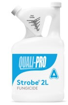 Strobe 2L