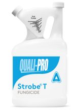 Strobe T
